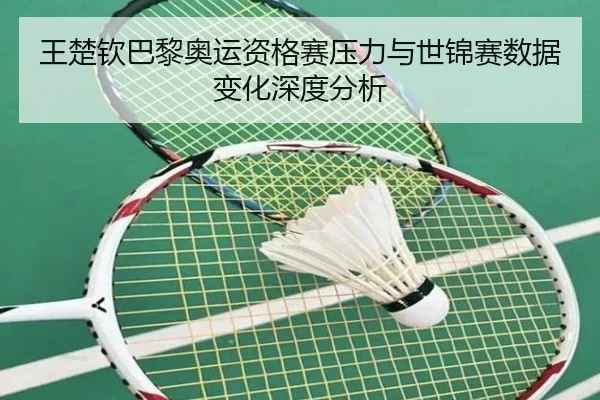 王楚钦巴黎奥运资格赛压力与世锦赛数据变化深度分析